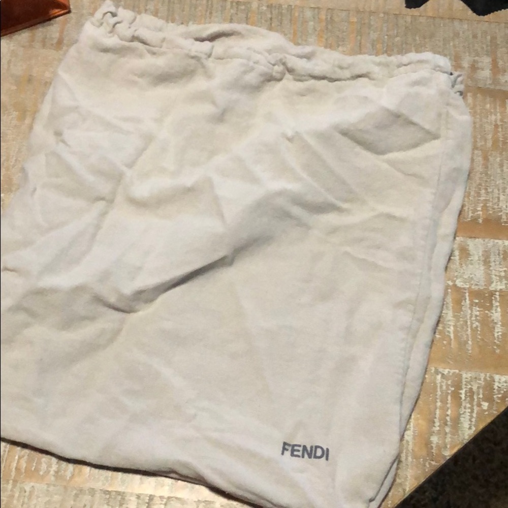 Fendi cloth bag